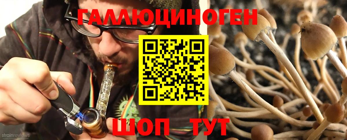 Лангепас  Галлюциногенные грибы мухоморы  Вход с VPN 
